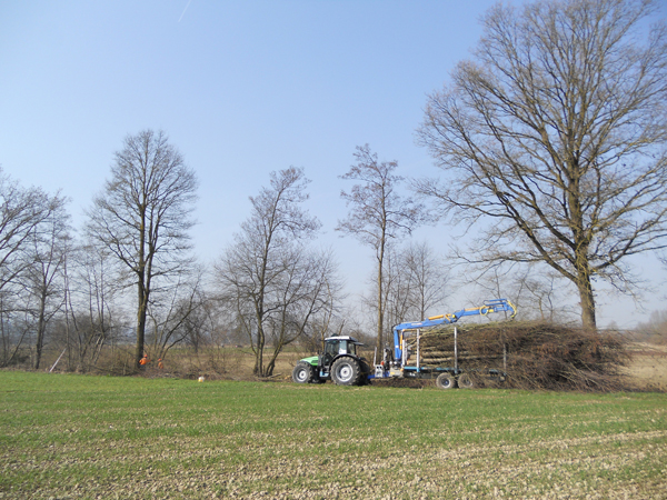 Heckenpflege Heckenpflege