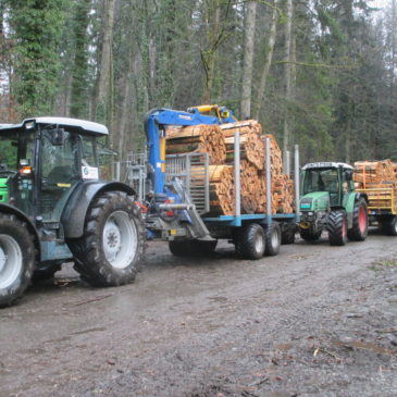 Transport von Brennholz