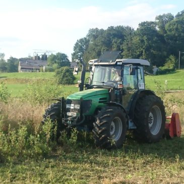 Räumen eines Baufeldes