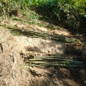 Sichern einer Rutschfläche mit Flechtzäunen