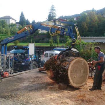 Liefern von Baumstämmen für einen Künstler