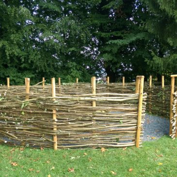 Liefern von Haselnussästen für ein Waldsofa