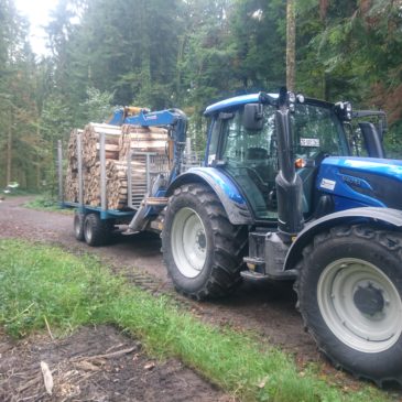 Transport von Sterbündel