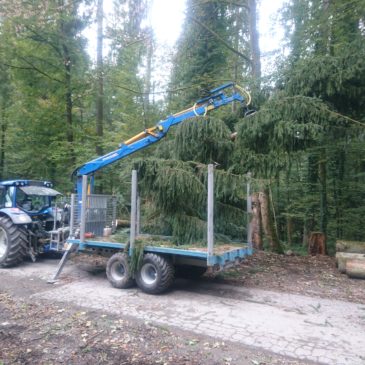 Bereitstellen von Raubäumen und Faschinen